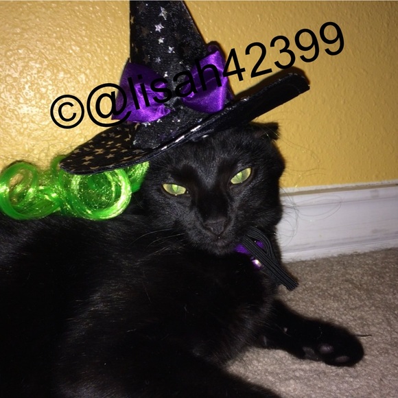 Meet your Posher, Lisa - Picture 7 of 11